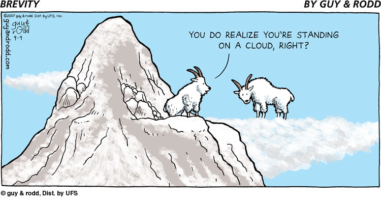 brevity